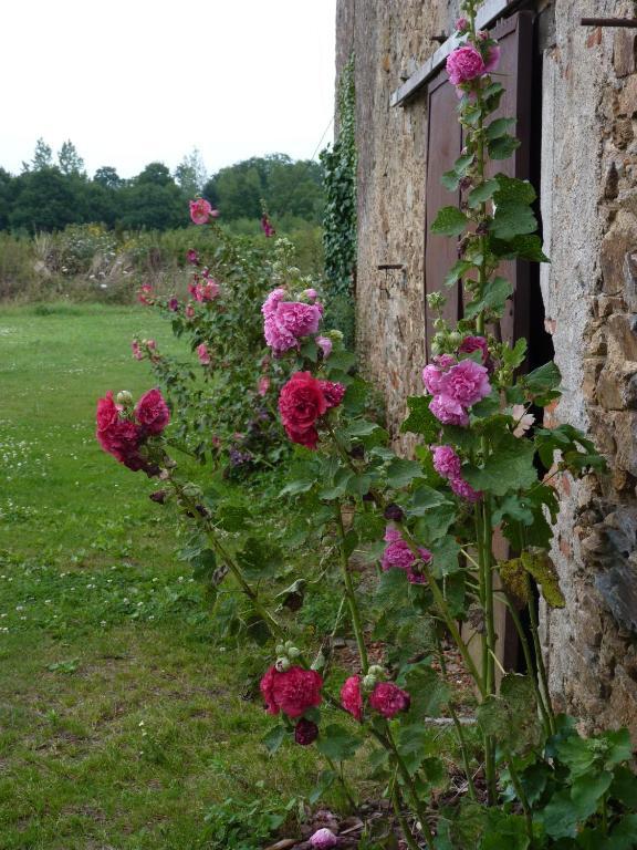 Chambres D'Hotes Le Chateau Rouge Saint-Germain-sur-Moine Екстериор снимка